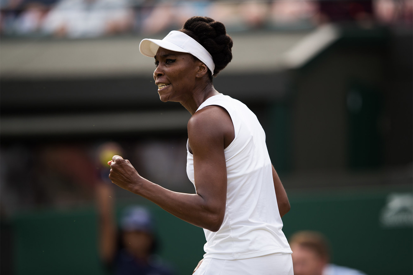 Martedì 11 luglio 'altro Venus ha giocato il centesimo match in singolare a Wimbledon (86 vittorie e 14 sconfitte).